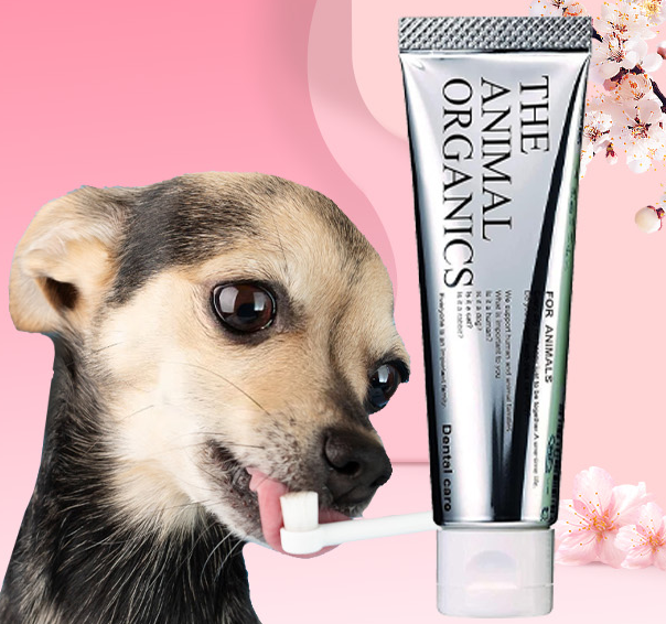 Pasta de dientes orgánica para perros THE ANIMAL ORGANICS 30 g - Higiene bucal natural, fabricada en Japón