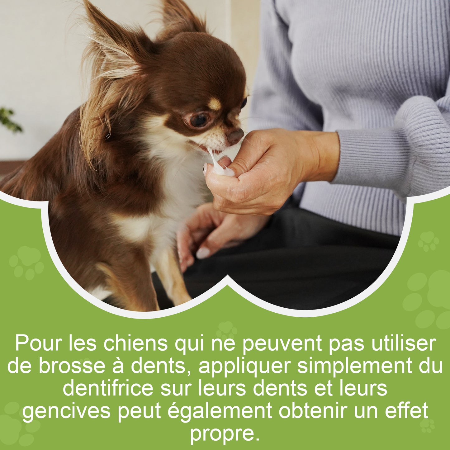 Dentifrice pour cheins 30g, Procure une haleine fraîche, Soins Dentifrice Contre La Mauvaise Haleine, Prevenir le tartre dentaire