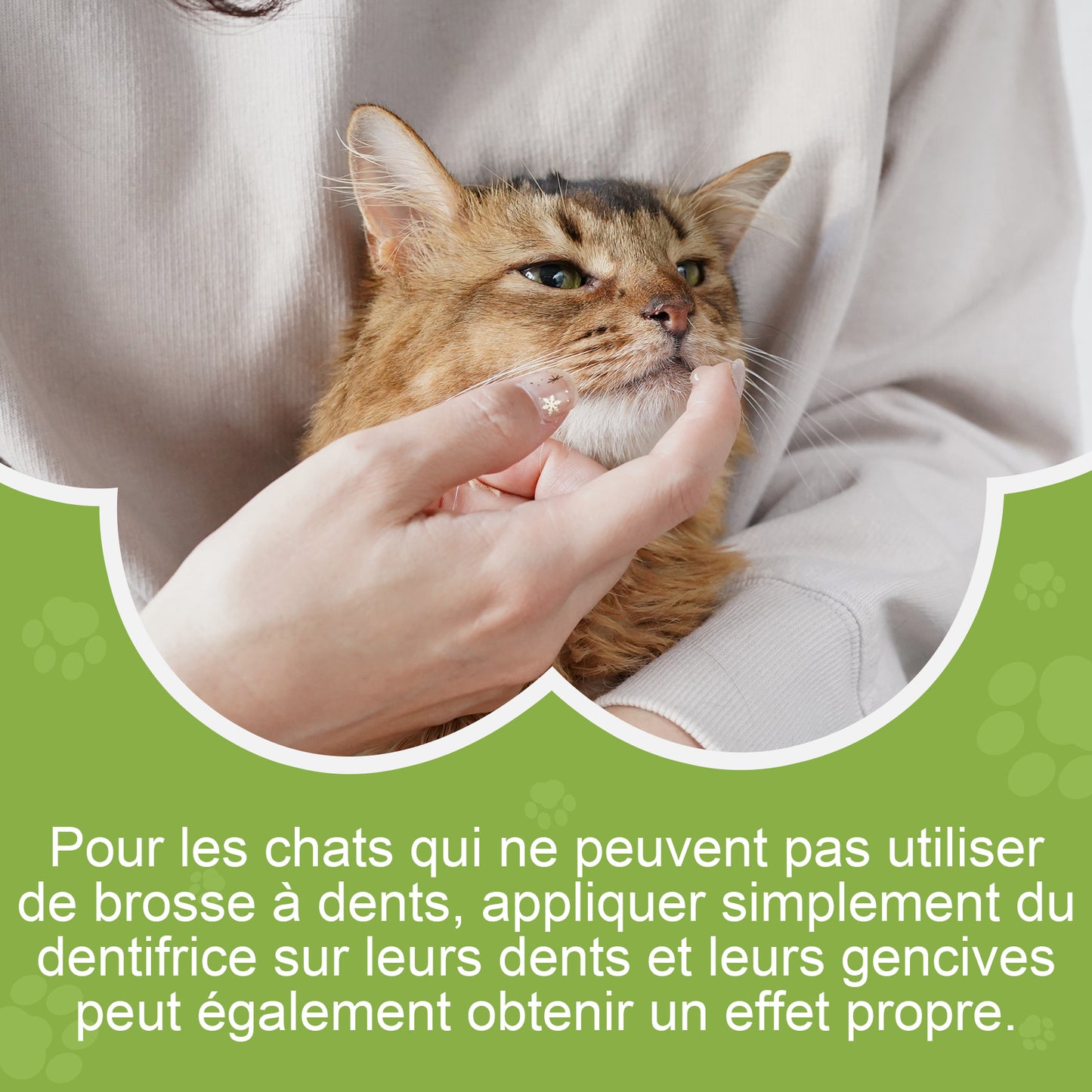 Dentifrice pour chat 30g, Procure une haleine fraîche, Soins Dentifrice Contre La Mauvaise Haleine, Prevenir le tartre dentaire