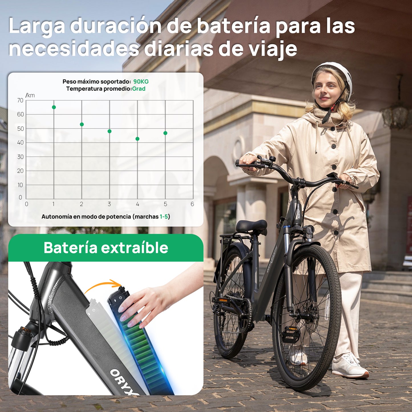 Bicicleta eléctrica urbana Oryxearth / Pedelec, SHIMANO 7 velocidades, motor de 250 W, 5 modos de asistencia, Gris.