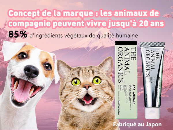 Dentifrice pour cheins 30g, Procure une haleine fraîche, Soins Dentifrice Contre La Mauvaise Haleine, Prevenir le tartre dentaire