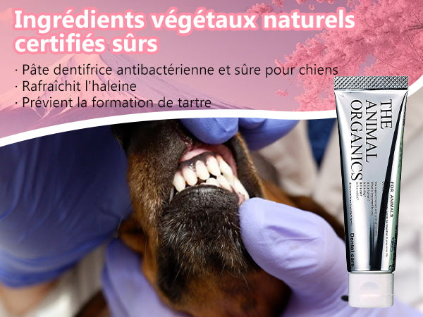 Dentifrice pour cheins 30g, Procure une haleine fraîche, Soins Dentifrice Contre La Mauvaise Haleine, Prevenir le tartre dentaire