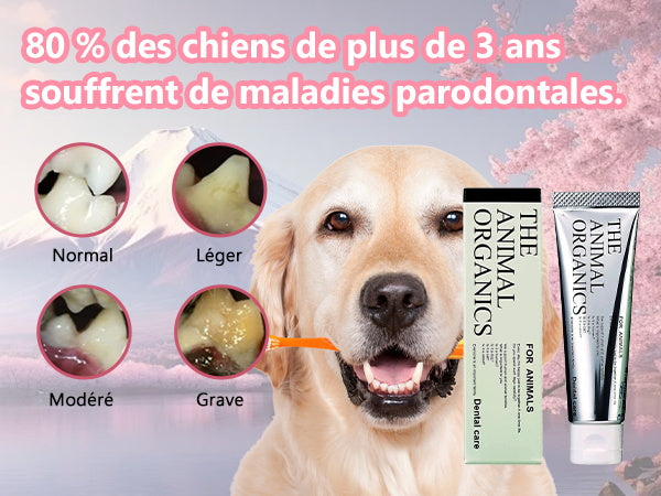 Dentifrice pour cheins 30g, Procure une haleine fraîche, Soins Dentifrice Contre La Mauvaise Haleine, Prevenir le tartre dentaire