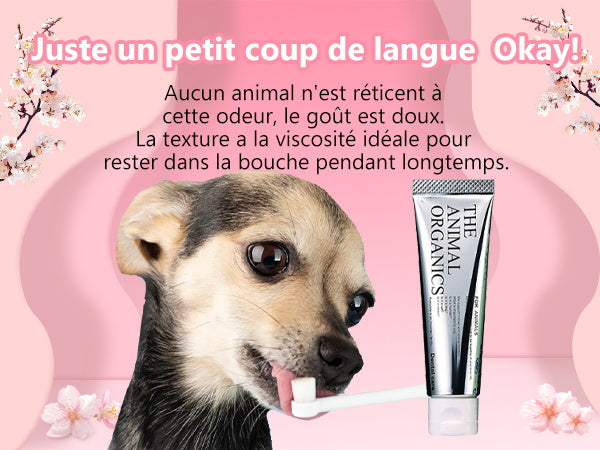 Dentifrice pour cheins 30g, Procure une haleine fraîche, Soins Dentifrice Contre La Mauvaise Haleine, Prevenir le tartre dentaire