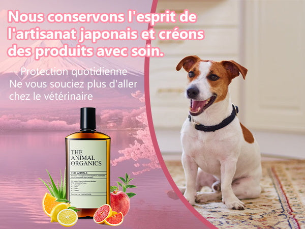 Soins THE ANIMAL ORGANICS Gouttes pour les oreilles de chien Fabriquées au Japon 100 ml