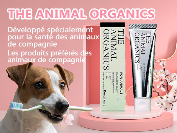 Dentifrice pour cheins 30g, Procure une haleine fraîche, Soins Dentifrice Contre La Mauvaise Haleine, Prevenir le tartre dentaire