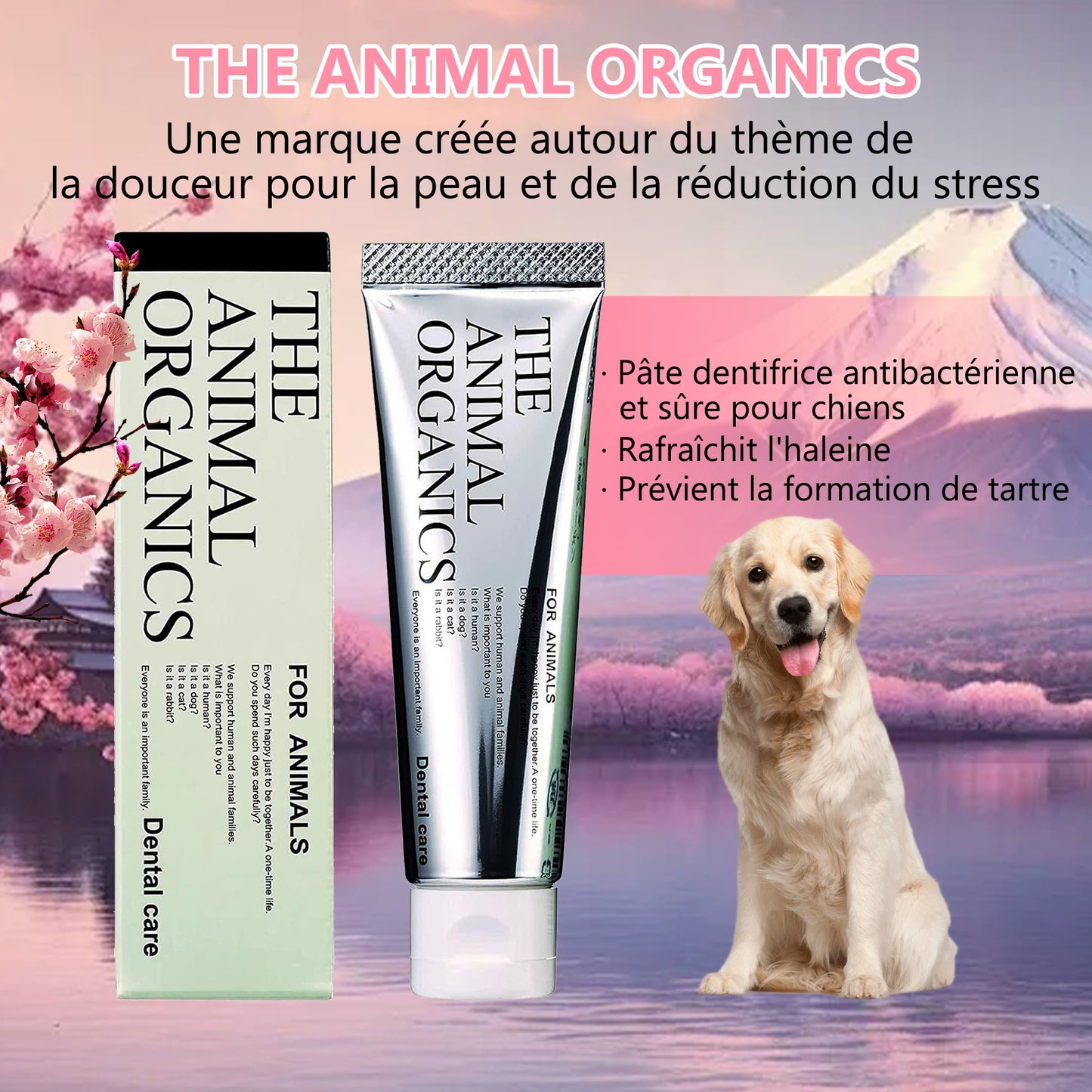 Dentifrice pour cheins 30g, Procure une haleine fraîche, Soins Dentifrice Contre La Mauvaise Haleine, Prevenir le tartre dentaire