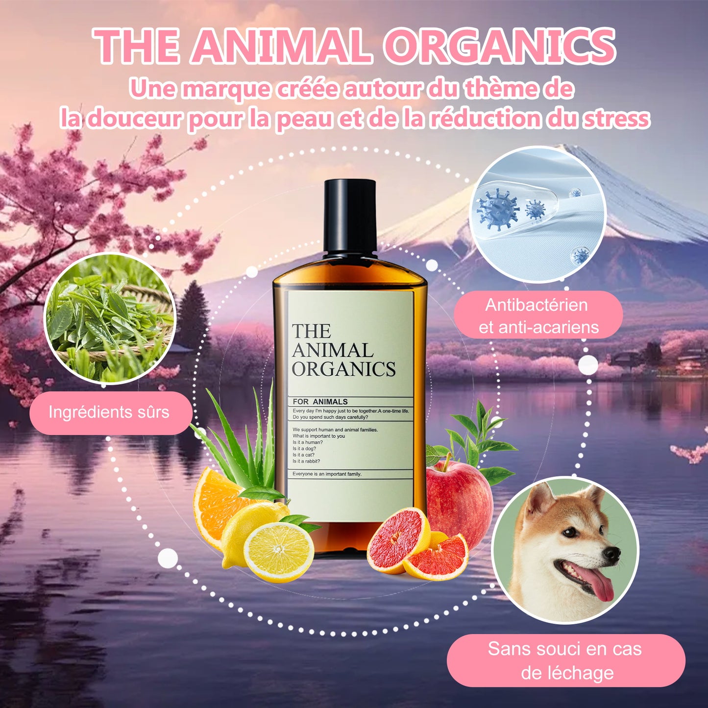 Soins THE ANIMAL ORGANICS Gouttes pour les oreilles de chien Fabriquées au Japon 100 ml
