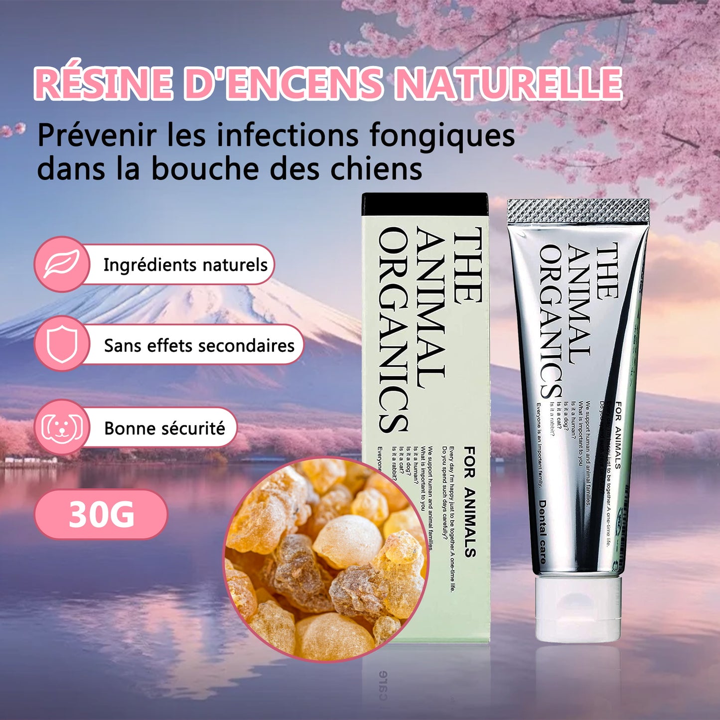 Dentifrice pour cheins 30g, Procure une haleine fraîche, Soins Dentifrice Contre La Mauvaise Haleine, Prevenir le tartre dentaire