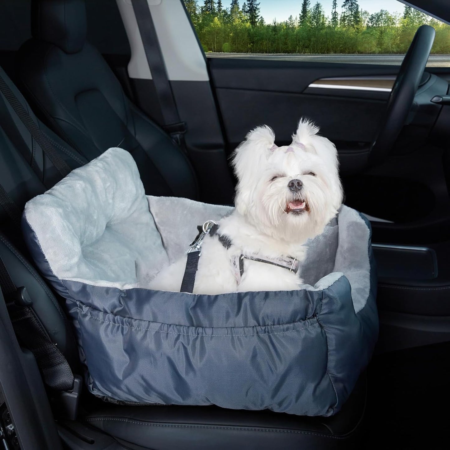 Siège pour petit chien, siège pour chien avec ceinture de sécurité robuste et poche de rangement, imperméable et lavable, adapté aux sièges arrière et avant, gris.
