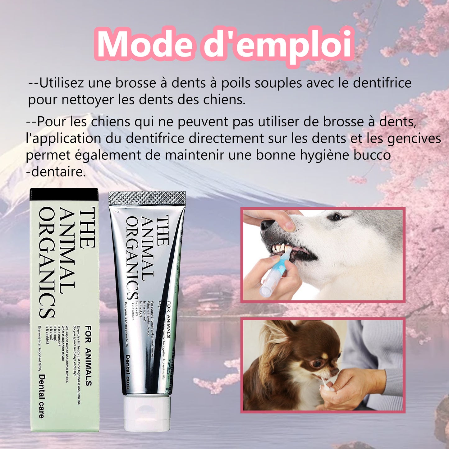 Dentifrice pour cheins 30g, Procure une haleine fraîche, Soins Dentifrice Contre La Mauvaise Haleine, Prevenir le tartre dentaire