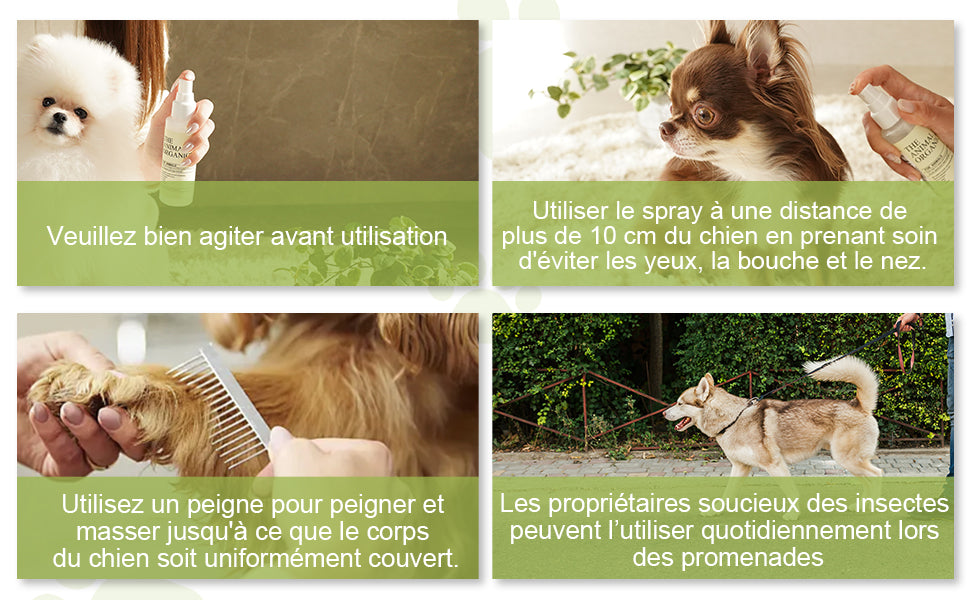 spray anti-insectes naturel pour plantes, 100ml ,SPRAY ANTI-INSECTES NATUREL VEGETAL