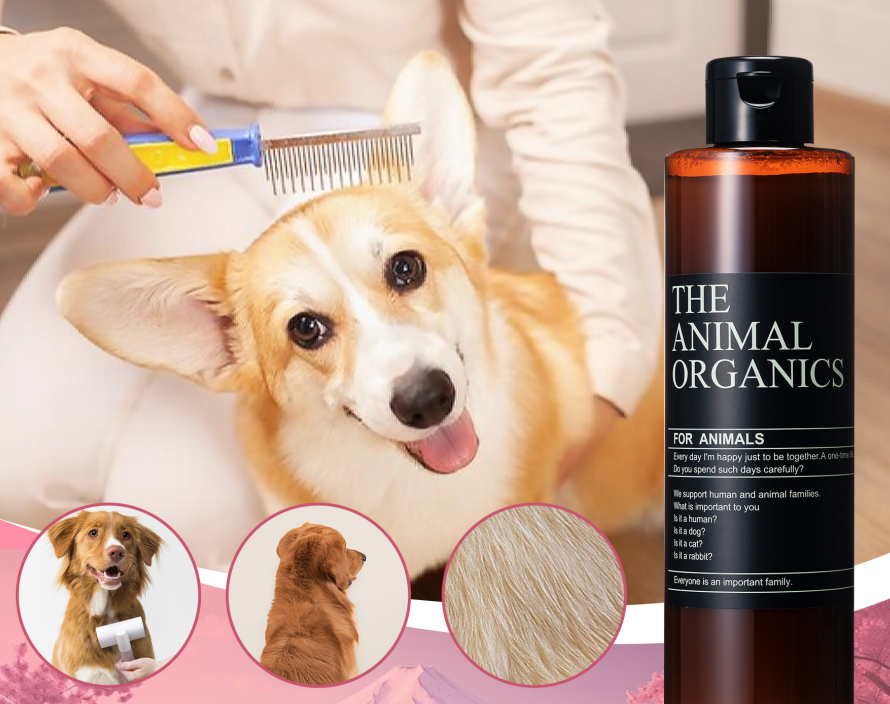 Acondicionador natural para perros de 250 ml, con ingredientes activos naturales, desarrollado para acondicionar y mejorar la salud del pelaje