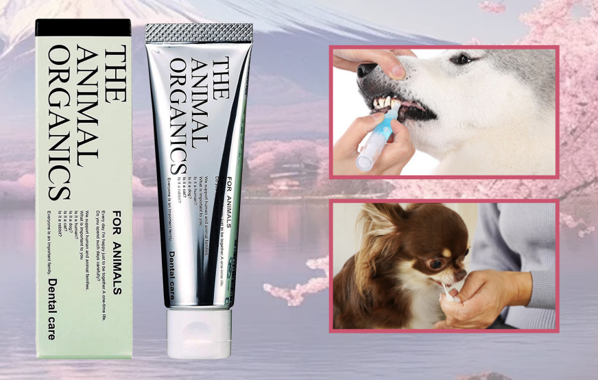 Pasta de dientes orgánica para perros THE ANIMAL ORGANICS 30 g - Higiene bucal natural, fabricada en Japón