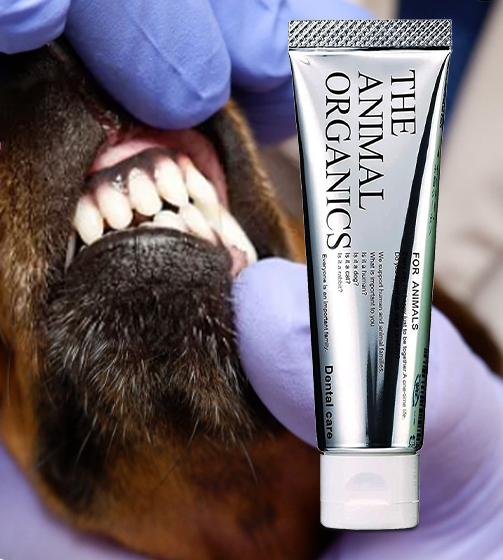 Pasta de dientes orgánica para perros THE ANIMAL ORGANICS 30 g - Higiene bucal natural, fabricada en Japón