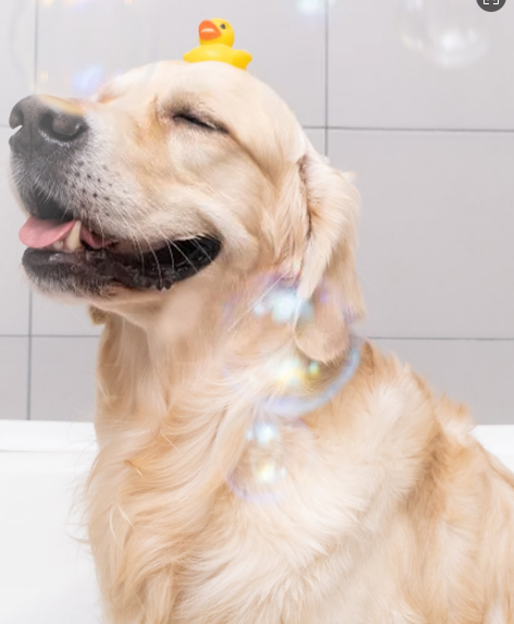 Sabonete para Cães THE ANIMAL ORGANICS 250ml - Natural e Produzido no Japão