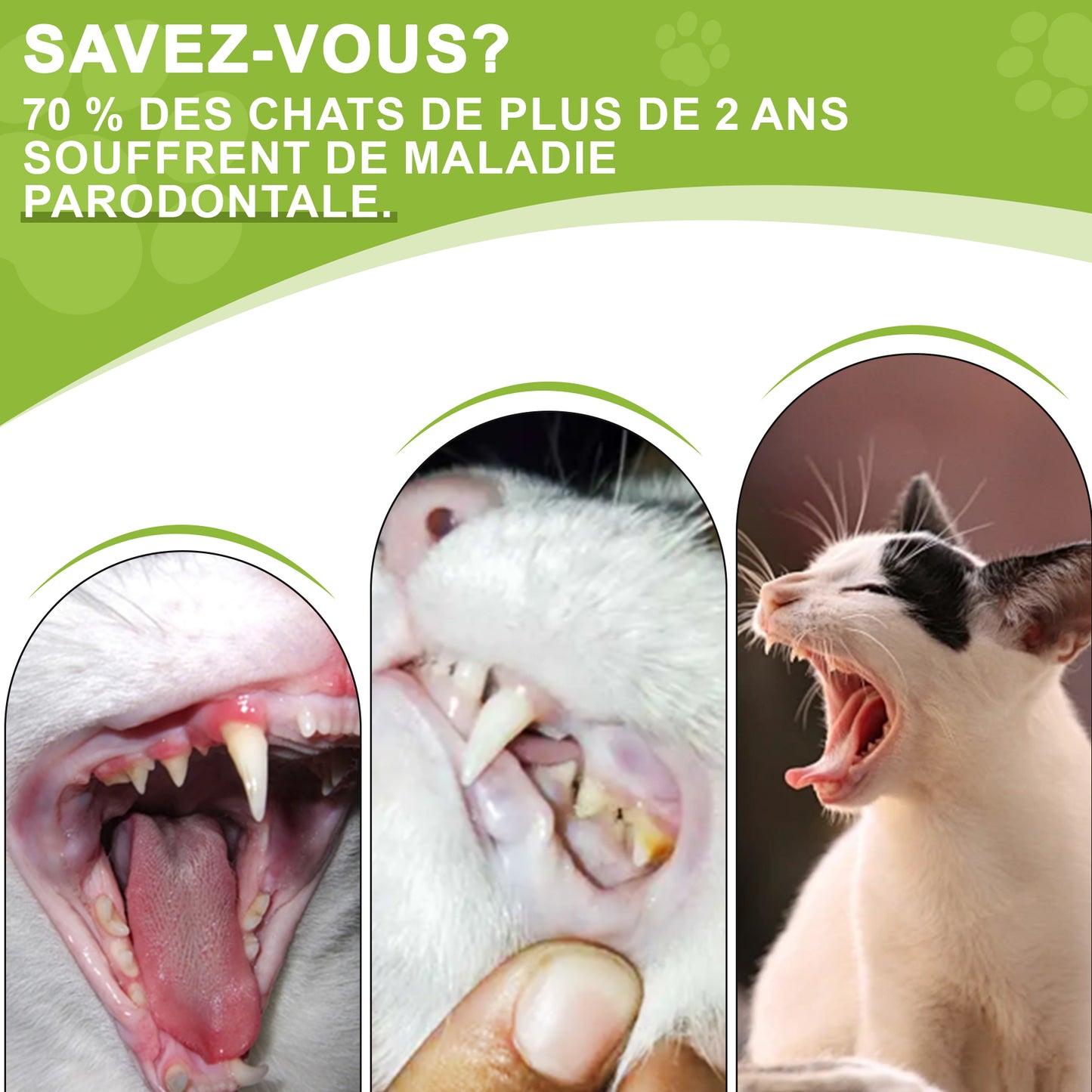 Dentifrice pour chat 30g, Procure une haleine fraîche, Soins Dentifrice Contre La Mauvaise Haleine, Prevenir le tartre dentaire
