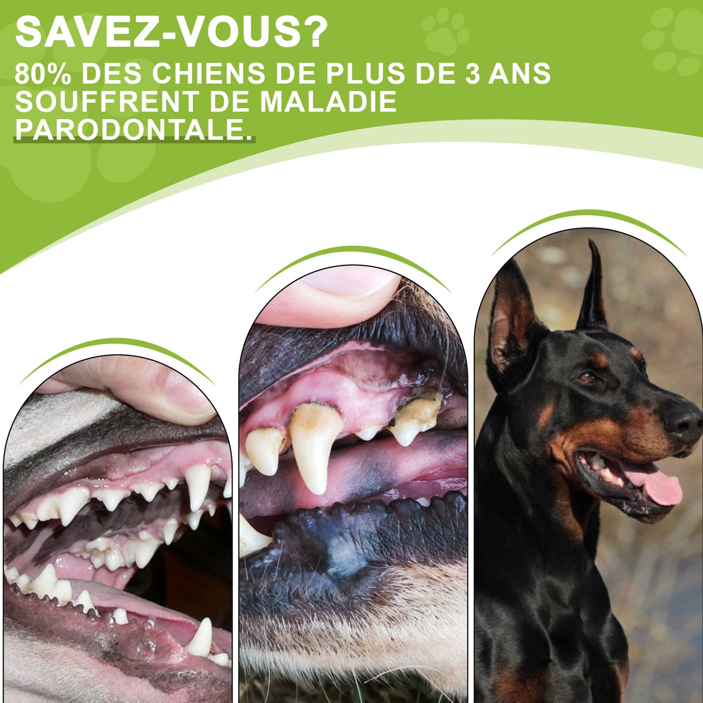 Dentifrice pour cheins 30g, Procure une haleine fraîche, Soins Dentifrice Contre La Mauvaise Haleine, Prevenir le tartre dentaire