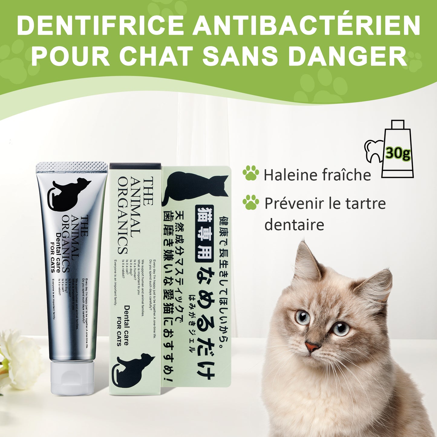Dentifrice pour chat 30g, Procure une haleine fraîche, Soins Dentifrice Contre La Mauvaise Haleine, Prevenir le tartre dentaire
