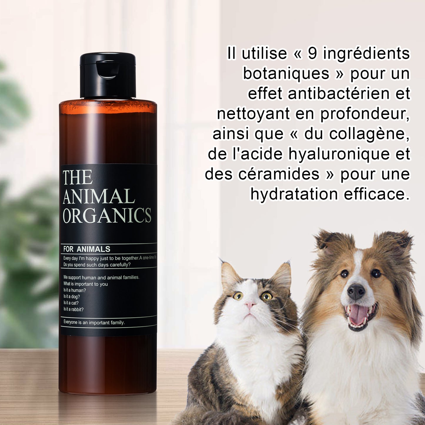 Après-shampoing Naturel pour Chien 250ML,Conditionneur pour chien,Ingrédients actifs naturels,Conditionneur de Pelage