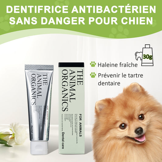 Dentifrice pour cheins 30g, Procure une haleine fraîche, Soins Dentifrice Contre La Mauvaise Haleine, Prevenir le tartre dentaire