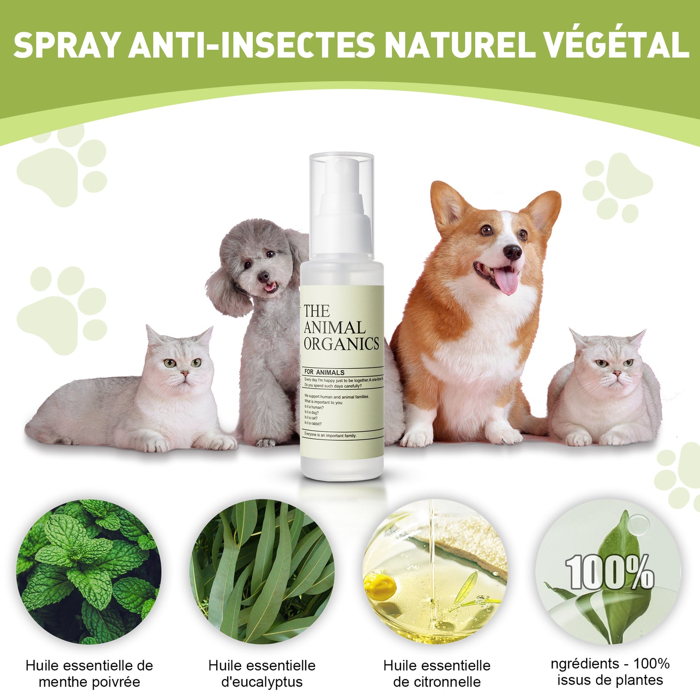 spray anti-insectes naturel pour plantes, 100ml ,SPRAY ANTI-INSECTES NATUREL VEGETAL