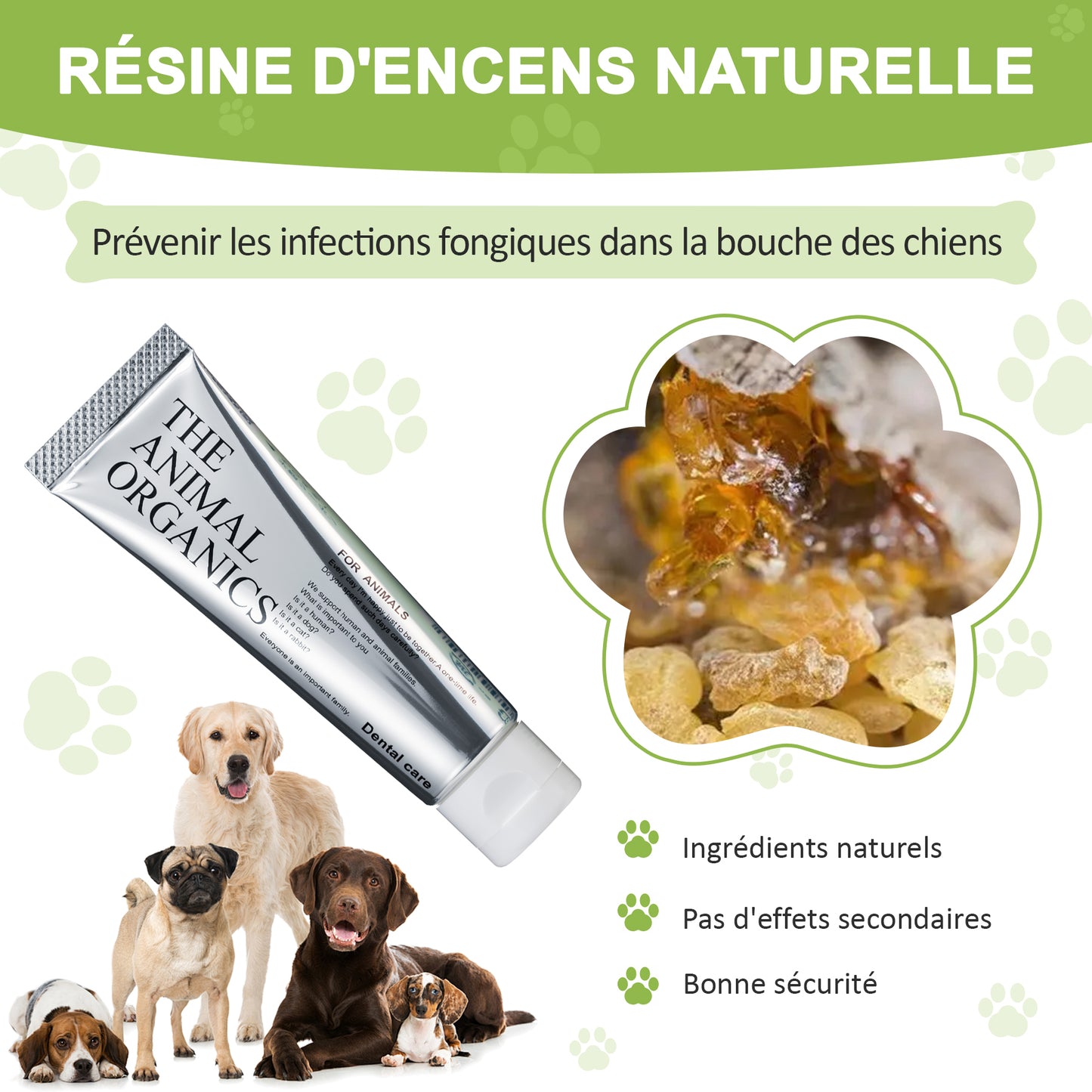 Dentifrice pour cheins 30g, Procure une haleine fraîche, Soins Dentifrice Contre La Mauvaise Haleine, Prevenir le tartre dentaire