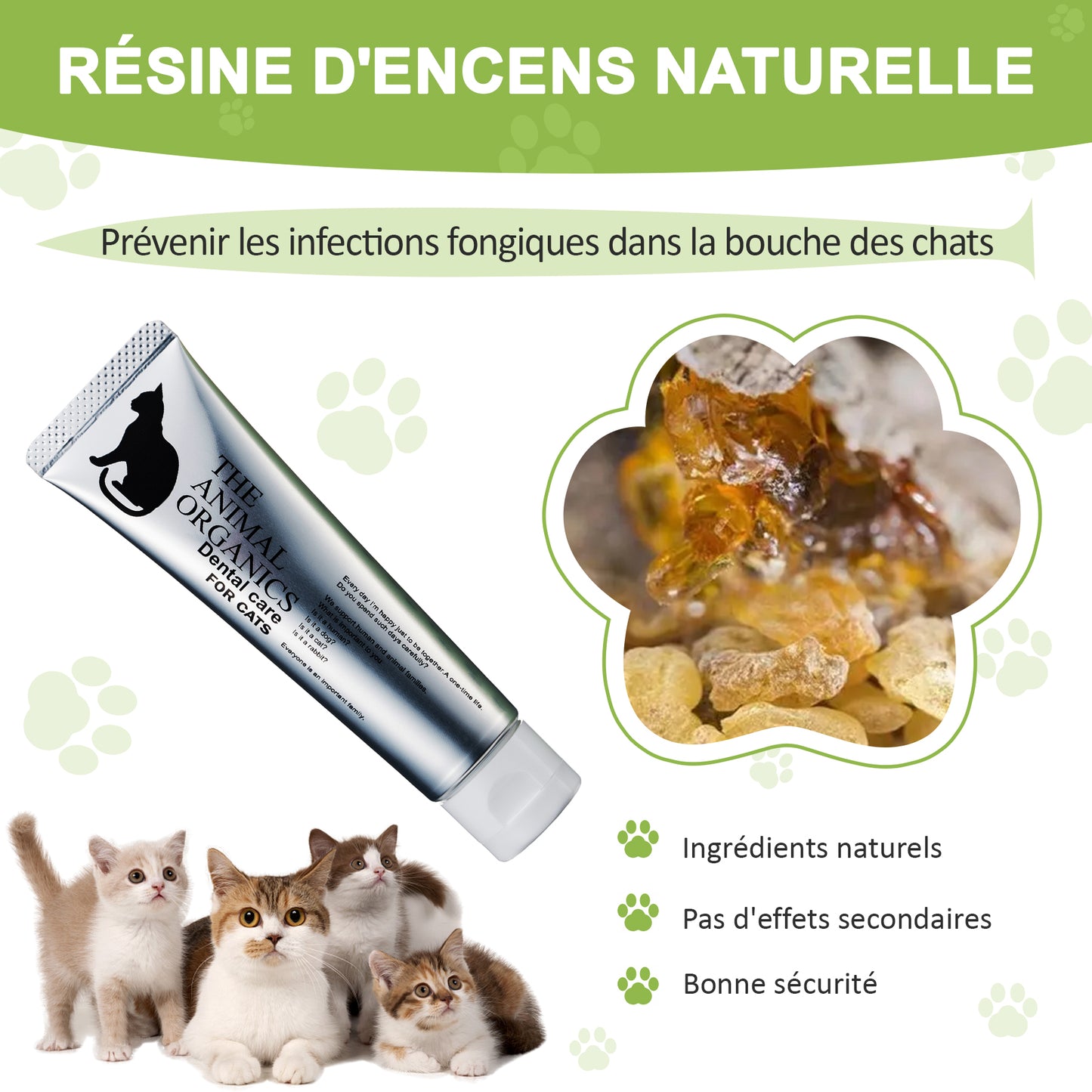 Dentifrice pour chat 30g, Procure une haleine fraîche, Soins Dentifrice Contre La Mauvaise Haleine, Prevenir le tartre dentaire