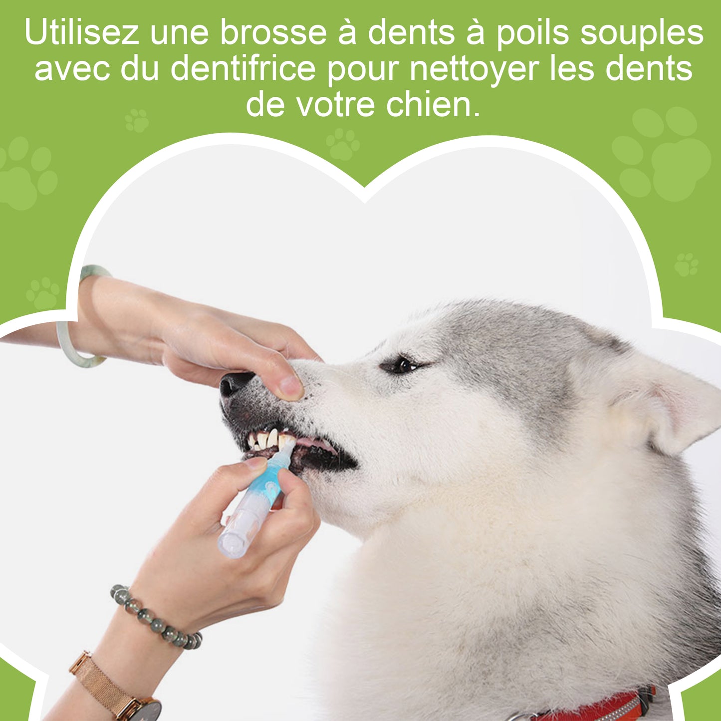 Dentifrice pour cheins 30g, Procure une haleine fraîche, Soins Dentifrice Contre La Mauvaise Haleine, Prevenir le tartre dentaire