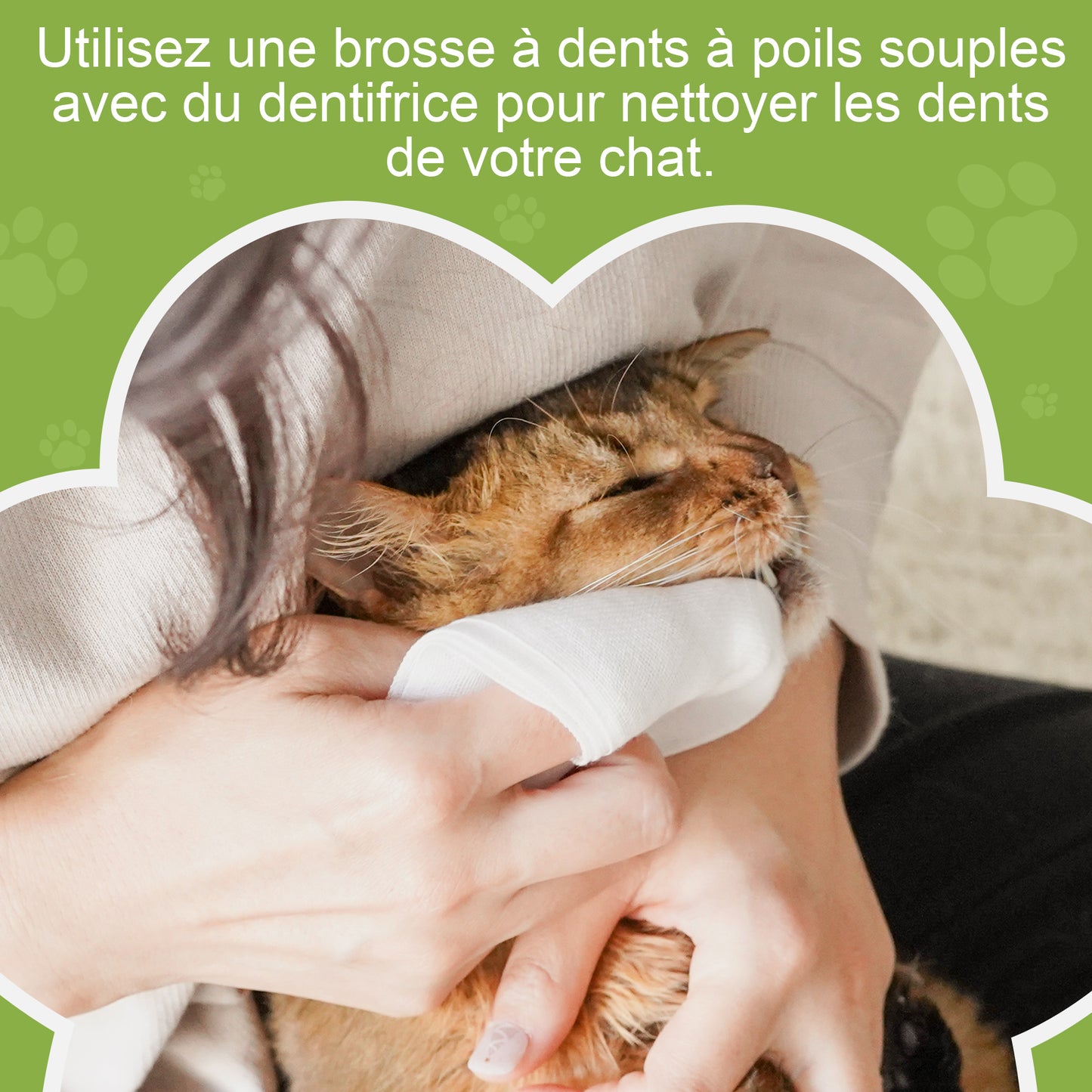 Dentifrice pour chat 30g, Procure une haleine fraîche, Soins Dentifrice Contre La Mauvaise Haleine, Prevenir le tartre dentaire