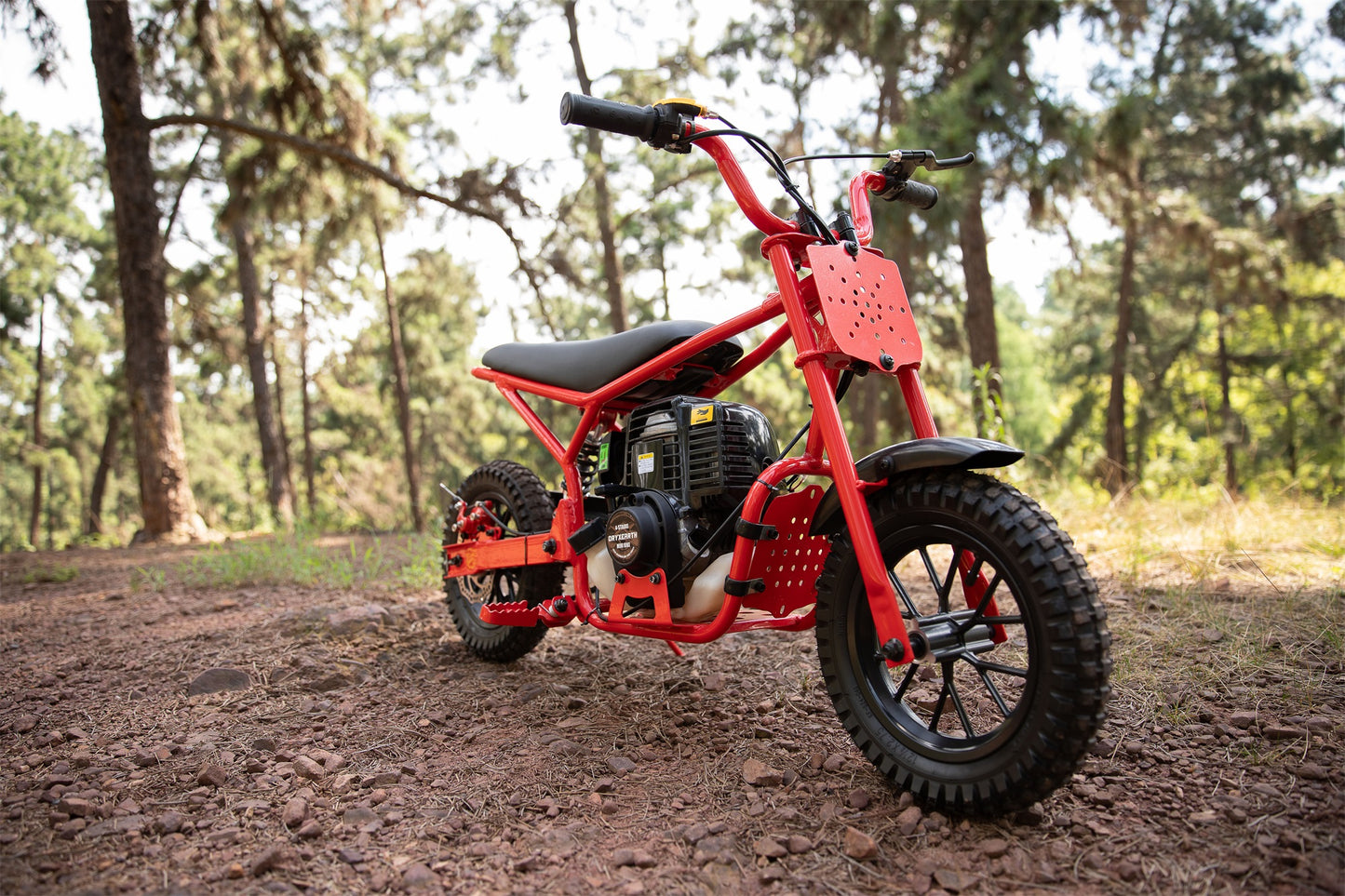 Kinder Elektro-Motorrad 2959248
