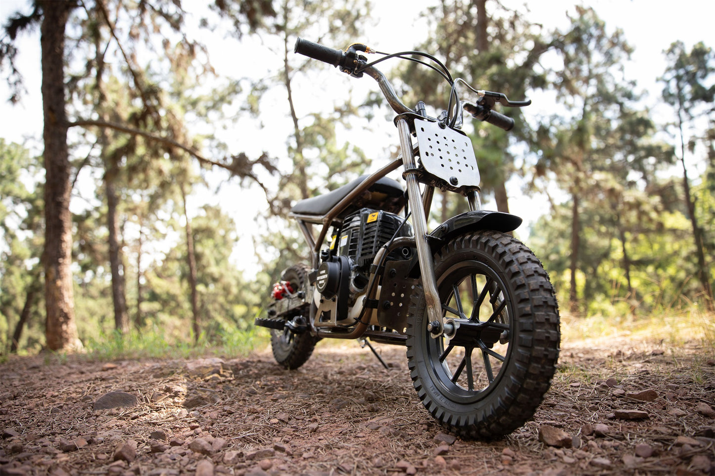 Kinder Elektro-Motorrad 2959250